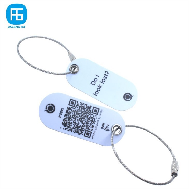 RFID pet tag